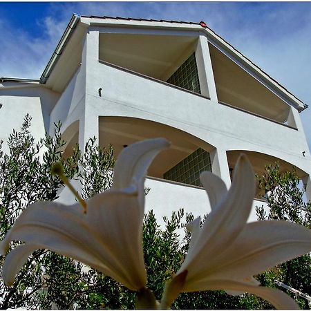 Apartments Purkovic Vodice Buitenkant foto