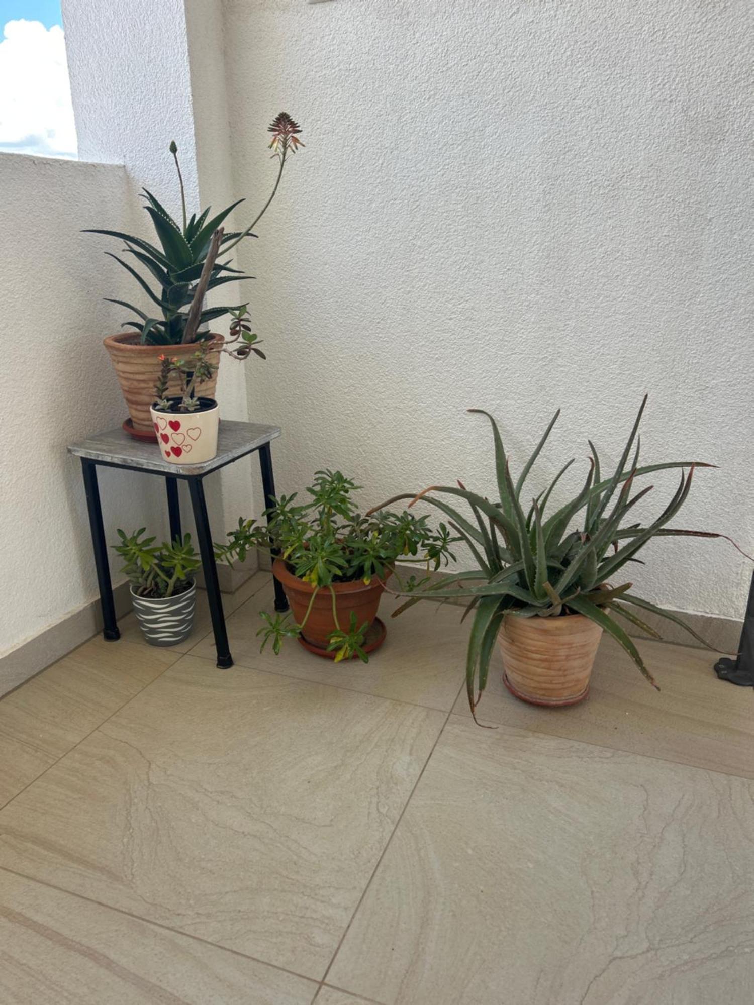 Apartments Purkovic Vodice Buitenkant foto